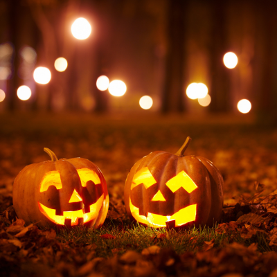 Image of Jack-o’-Lantern Trail at the Bruce Botanical Food Gardens