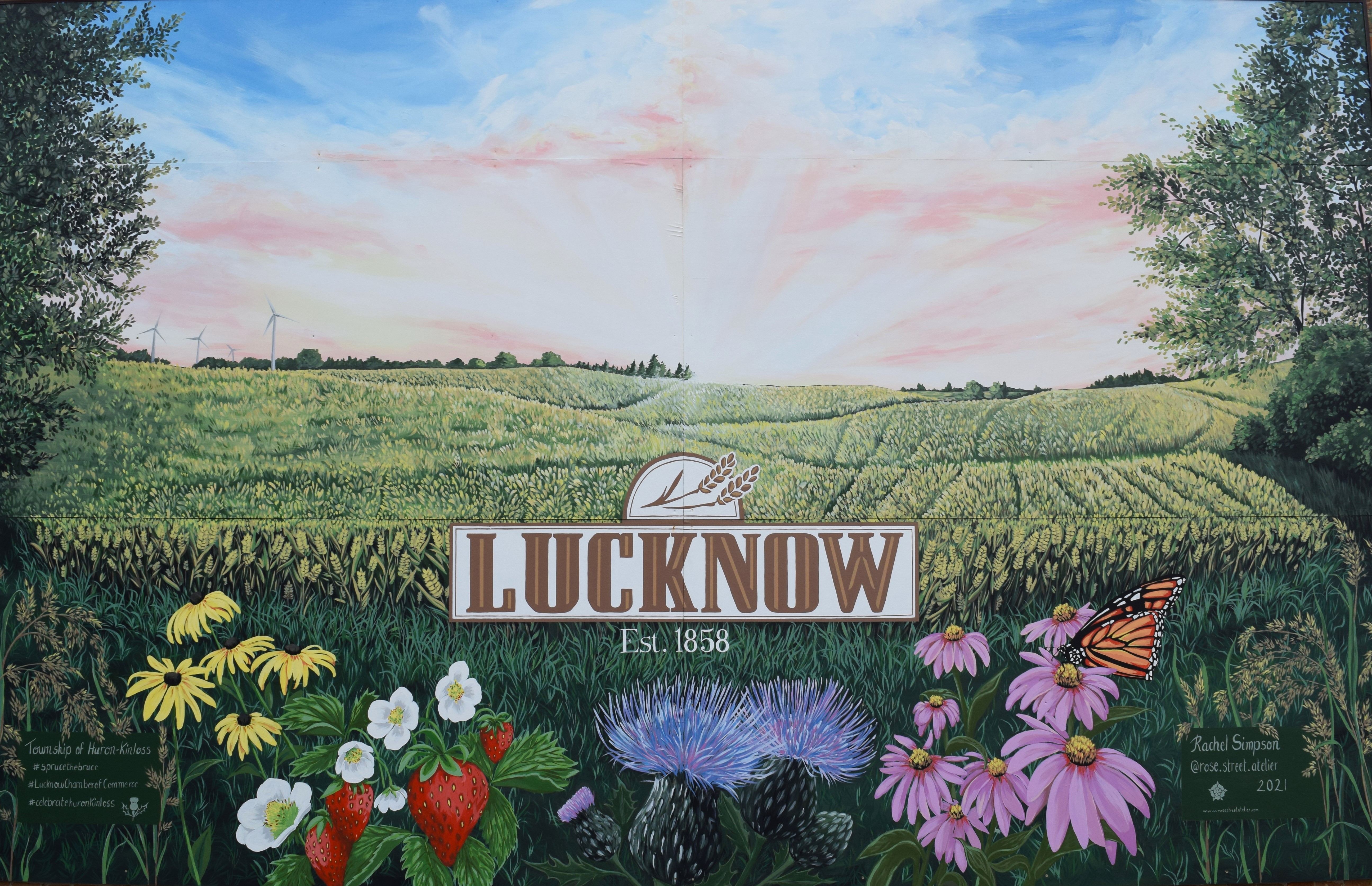 Rural field scene with flowers and Lucknow's logo
